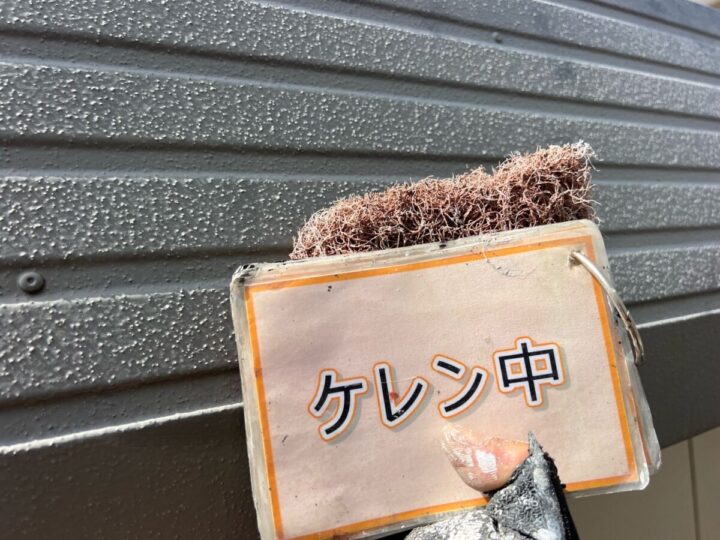 パラペット塗装①