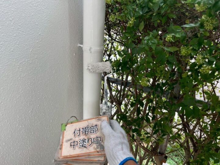 雨樋塗装②