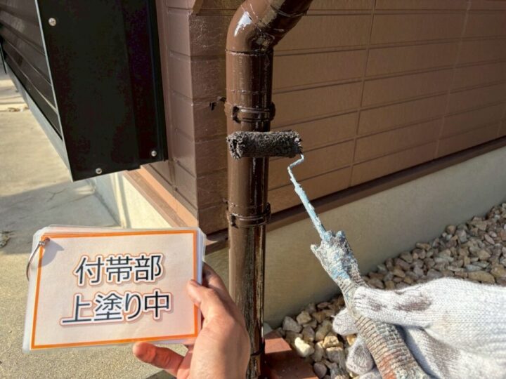 雨樋塗装③