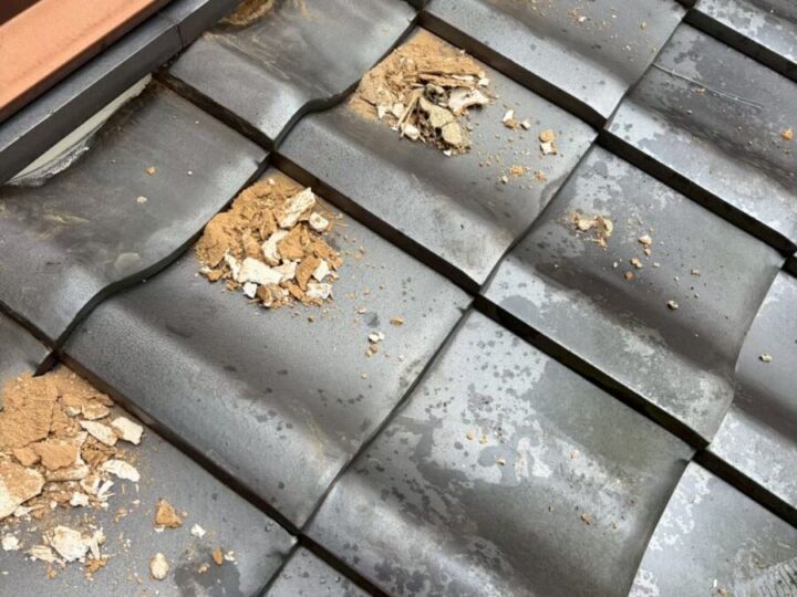 屋根漆喰工事①